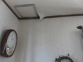 ��ϳ�꽤���ʳ��ɥ����ǥ��󥰡��ƣң��ɿ夫��α�ϳ�꽤����