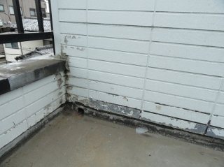 雨漏り修理（外壁サイデイング、ＦＲＰ防水からの雨漏り修理）